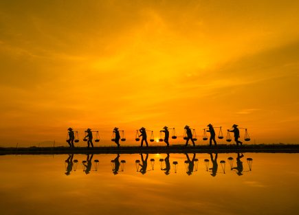 Bình minh trên cánh đồng muối
