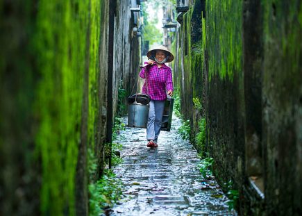 Góc phố mùa rêu 1