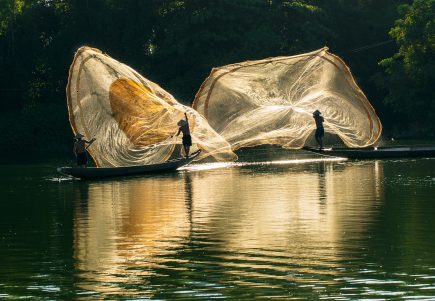 Tung chài nghệ thuật 2